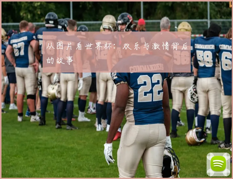 从图片看世界杯：欢乐与激情背后的故事