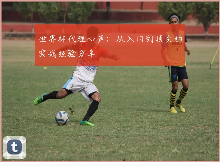 世界杯代理心声：从入门到顶尖的实战经验分享